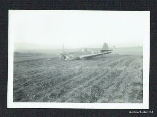 Ww2 Crashed P - 40 Warhawk 65th Sqn,  57th Fg,  9th Af,  1943 North Africa Photo