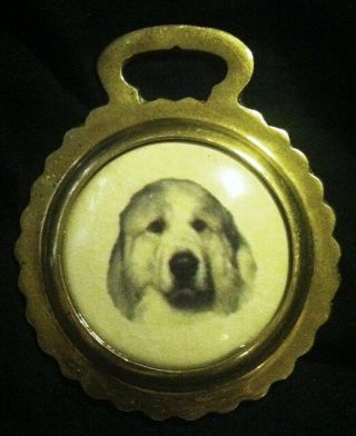 Dog Great Pyrenees Ceramic Horse Brass Majestic Pyrenees Wow Your Walls
