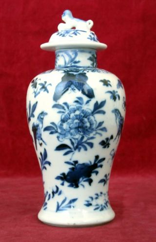 Antique Chinese Porcelain Vase & Cover,  Birds,  Butterflies,  Kangxi Mark,  19th C