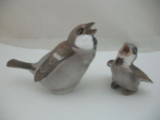 Bing & Grondahl (b&g) Bird Figurine 1607 & 1852: Sparrow & Fledgling