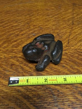 Cast Iron Paperweight Frog Anitomically Correct Doorstop Vintage Toad