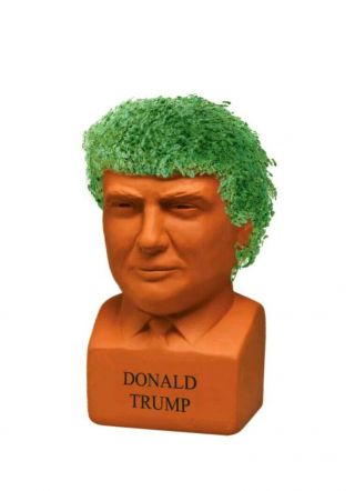 Chia Cp116 - 01 Donald Trump Freedom Of Choice Pottery Planter