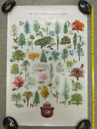 1992 Smokey The Bear Stately Treasures Forest Trees Poster Dept Of Agriculture