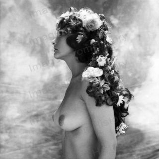 8x10 Print Linda Lovelace Profile Portrait Nude Risque Llmg