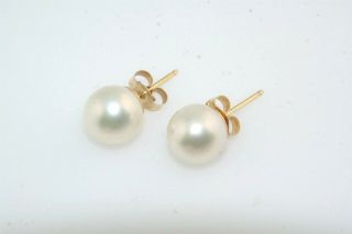 8mm Japanese Cultured Pearl 14k Yellow Gold Stud Earrings