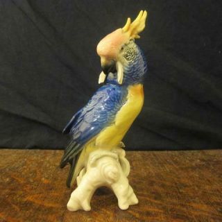Vintage 20thc Karl Ens Porcelain Cockatoo Parrot Bird Figure