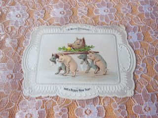 Victorian Christmas Card/tearful Pigs Carrying A Boar 