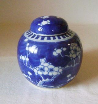 Antique Chinese Prunus Porcelain Vase With Lid 13.  5 Cm High Ginger Jar