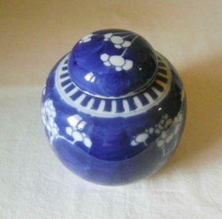Antique Chinese Prunus Porcelain Vase with Lid 13.  5 cm high Ginger Jar 2