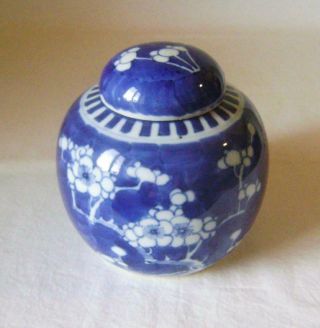 Antique Chinese Prunus Porcelain Vase with Lid 13.  5 cm high Ginger Jar 3
