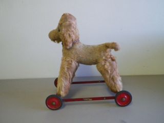 Vintage Chiltern Mohair Dog Pull Toy On Wheels 14 1/2 " Long England