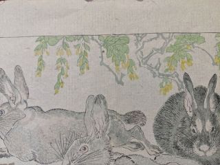 19th Century Kawanabe Kyosau Japanese Woodblock Print Wild Rabbits 2