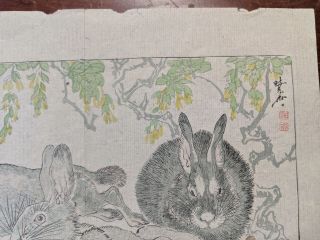 19th Century Kawanabe Kyosau Japanese Woodblock Print Wild Rabbits 3