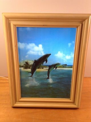 Motion Picture Light Up 10 " X 13 " Jumping Dolphins Picture Mp - W10 E232080 54ya