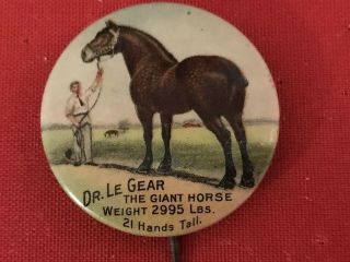 1.  25 " Giant Horse Button World Champion Pinback Advertising Pin Dr.  Le Gear Badge