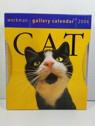 Rare Collectible 2004 Workman Gallery Page - A - Day Cat Calendar,