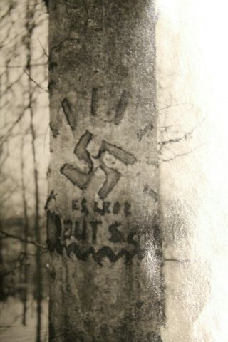 WW2 Photograph of a Captured German Tree w/Carving,  Note to Back Side 2