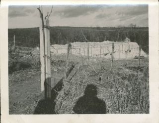 Wwii Dec 1944 35th Evac Hosp In Teting France Photo 1 Wrecked German Pillbox