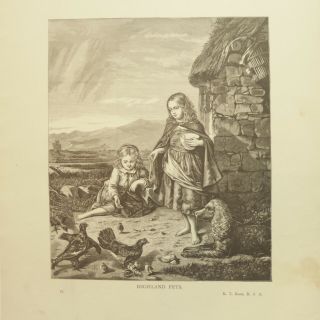 Vtg Irish Water Spaniel 1875 Illustration Print Bookplate Highland Pets