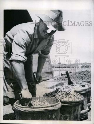 1945 Press Photo Okinawa Japanese Captured By Yanks Cooks For Other Pows
