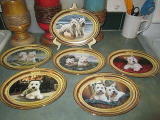 The Franklin West Highland White Terrier Set Of 6 Collector Plates