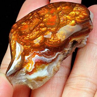 182ct 100 Natural Mexican Multi - Colored Fire Agate Facet Rough Yfmg13