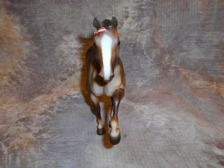 Breyer Tennesee Walking Horse TWH Brown Fade Color,  1996 Only J C Penny 3