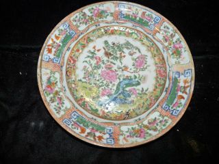 19th C Chinese Export Porcelain Famille Rose Birds Butterflies 9 3/4 " Deep Plate