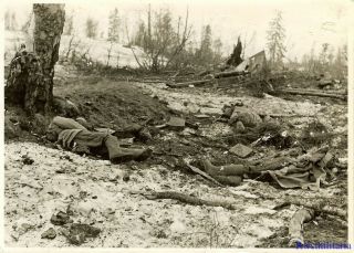 Press Photo: Sad Bodies Of Kia Russian Soldiers In Winter Field; Witebsk 1944