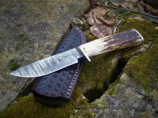 Vintage Custom Stag Handmade Loveless Style Drop Point Hunting Knife