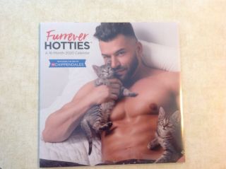 Mead Furrever Hotties 16 Month Wall Calendar Men Of Chippendales 2020