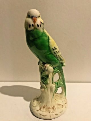 Vintage Zaccagnini Italy Pottery Ceramic Parakeet Budgie Bird