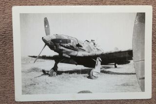Scarce Ww2 Photograph Of An Italian Air Force Fighter Aircraft