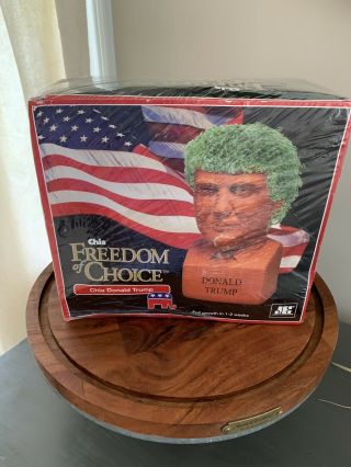 President Donald Trump Chia Planter - Freedom Of Choice Chia Pet Head