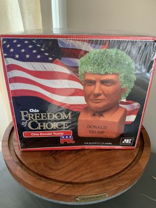 President Donald Trump Chia Planter - FREEDOM OF CHOICE Chia Pet Head 3