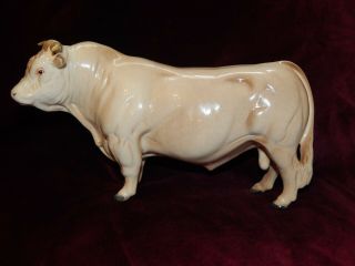 Vintage Beswick Charolais Bull In Gloss Model No 2463a
