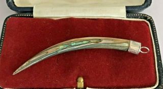 Vintage Sterling Silver Mother Of Pearl & Abalone Shell Tusk Pendant Unusual