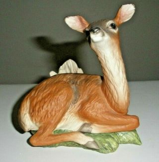 Boehm Porcelain White - Tailed Deer Humane Society 1988 Friends Of The Forest Hs4