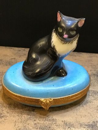 Limoges France Cat Kitten Trinket Pill Box Blue Green Eyed Signed Peint Main Fv