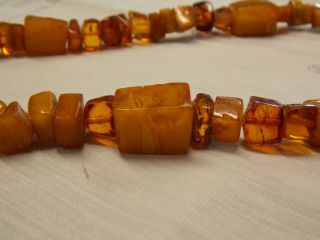 Vintage Baltic Amber Necklace 102 Grams 100 Natural Assorted Shades,  Shapes.