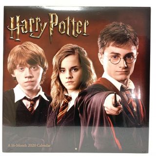 Harry Potter 12 " X 24 " 16 Month 2020 Wall Calendar