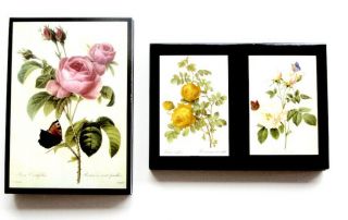 12 Redoute Rose Botanical Note Cards