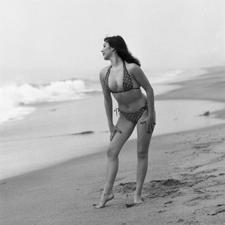 1950s Vogel Negative,  Sexy Pinup Girl Doris Gohlke At Beach In Bikini,  T250848