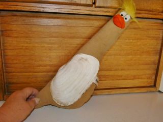 Vintage Geoduck Gooey Duck Real Shell With Stuffed Fabric Clam Toy