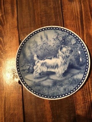 Australian Silky Terrier Blue Porcelain Plate