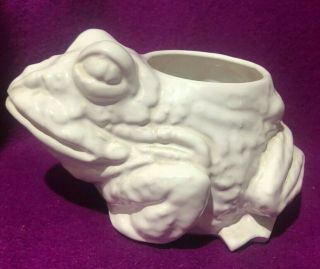 Frog Figurine Planter Todd White Ceramic 7 " Long 5.  5 " Wide Handmade In Italy