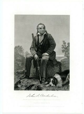 John James Audubon,  Ornithologist/painter/birds Of America,  1861 Engraving 8071