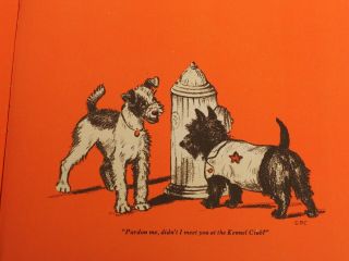 1944 Book My Dog Illustrator Gladys Emerson Cook Boston Terrier Pom Sealyham,