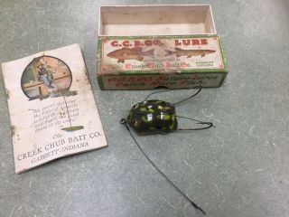 Vintage Creek Chub Weed Bug Fishing Lure Neat