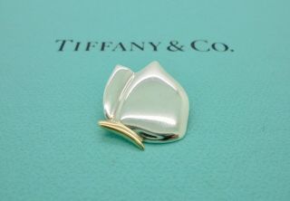 Authentic Vintage Tiffany & Co.  Butterfly 18k Yellow Gold & Silver Pendant